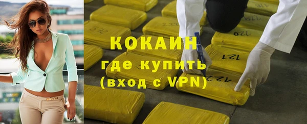 стафф Гвардейск