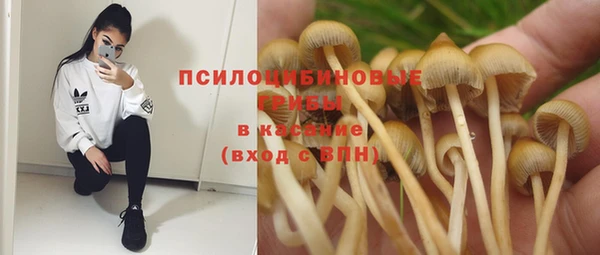 меф Арсеньев
