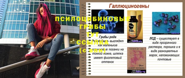 ECSTASY Армянск